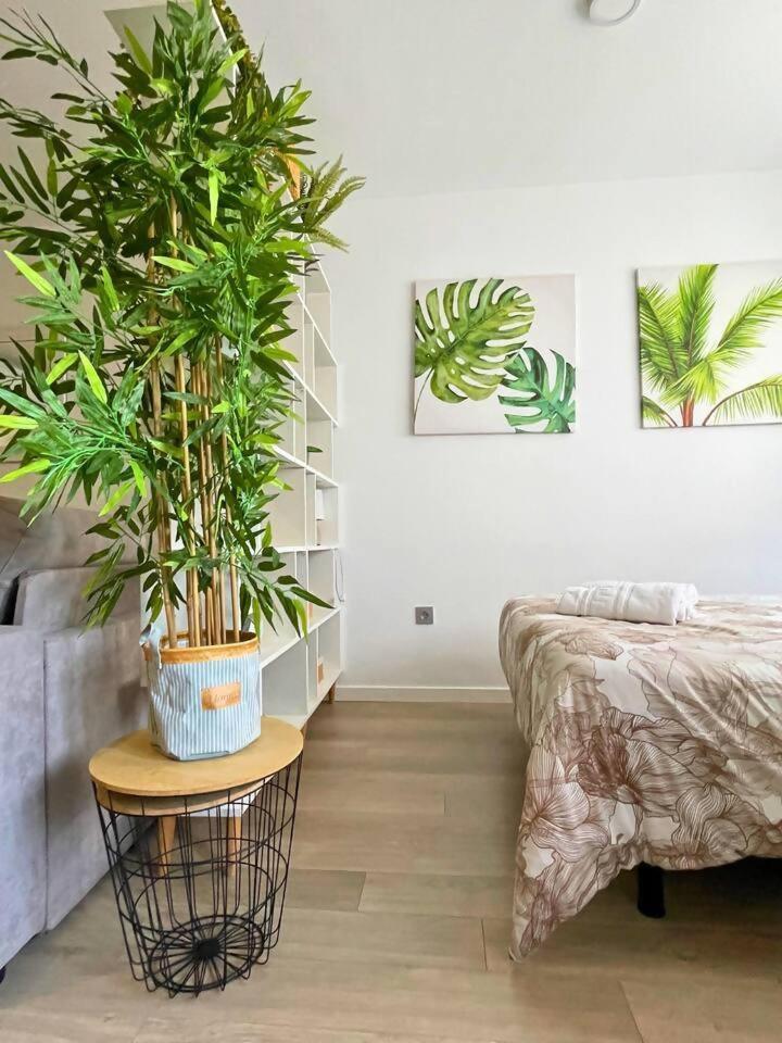 Home4U Apartamento Con Cochera Granada Buitenkant foto